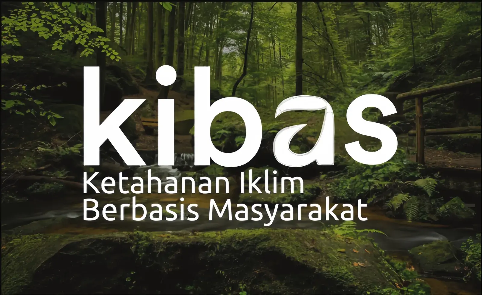 Kibas