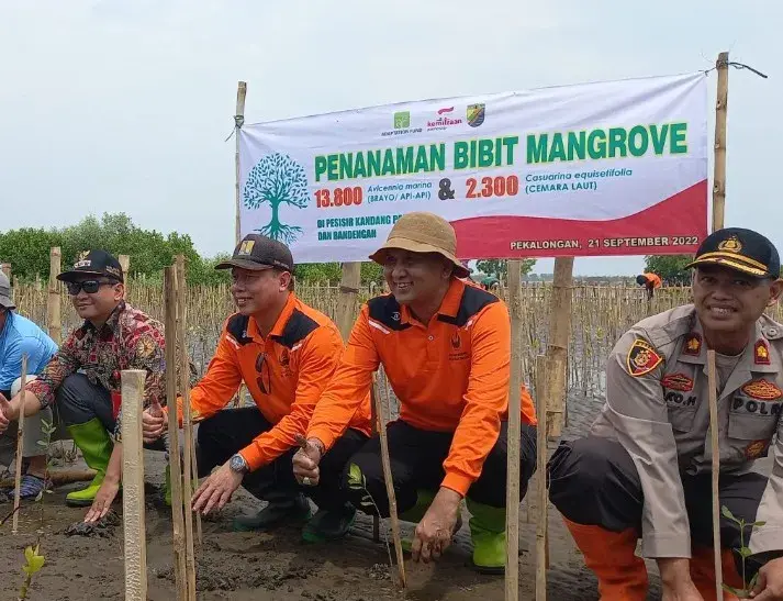 KEMITRAAN dan Pemerintah Kota Pekalongan Berkolaborasi  Atasi Banjir Rob