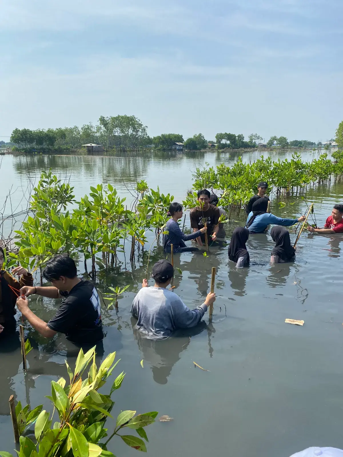 Peran Pemuda dan Komunitas dalam Adaptasi Perubahan Iklim di Degayu