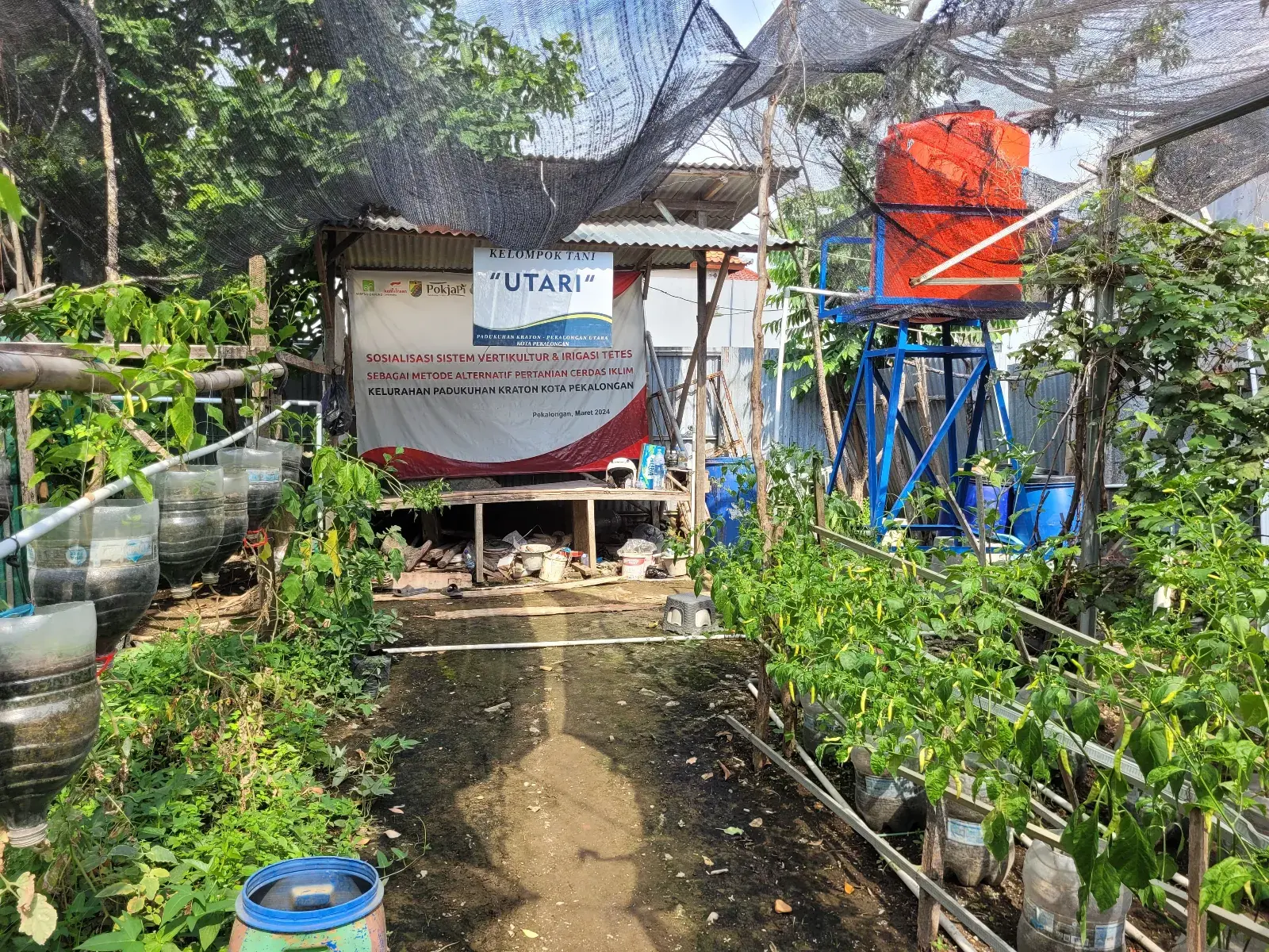 Pertanian Di Tengah Perkotaan dan Krisis Iklim