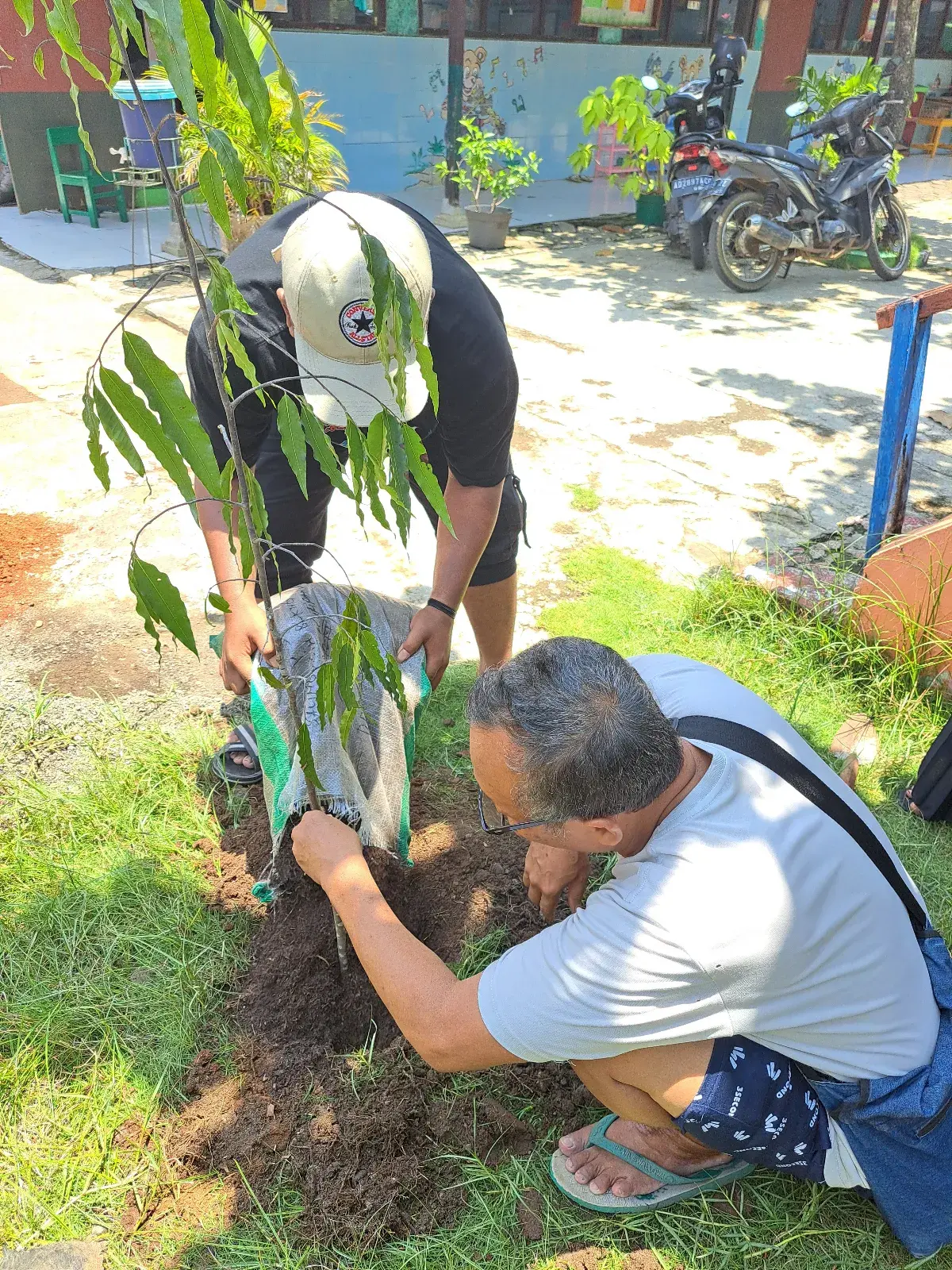 Atasi Perubahan Iklim, Pemkot Galakkan Budaya Menanam Pohon