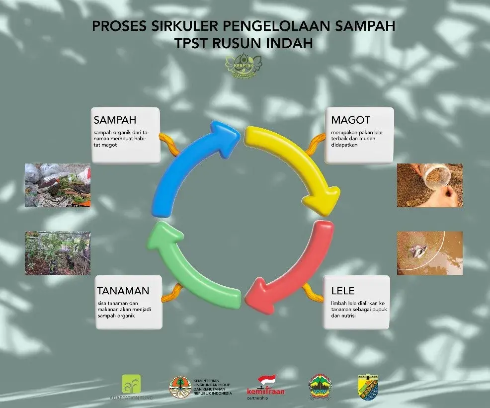 Sistem Terpadu Urban Farming dan Budidaya Lele : Pemanfaatan Sampah Organik dan Maggot sebagai Pakan Lele