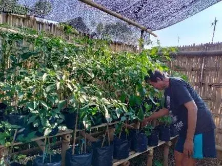 Kolaborasi Aksi Urban Farming Bersama Paguyuban Warga RT 01 RW 05  “Kelompok Tani Guyub Rukun” Kelurahan Panjang Wetan