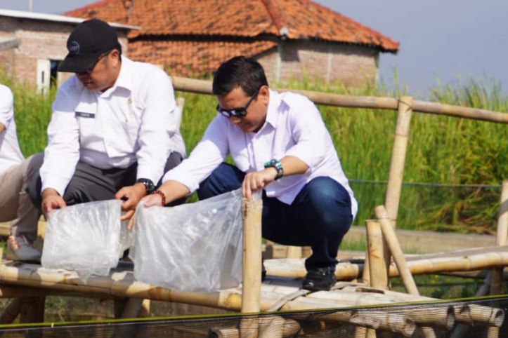 berita_20240603050113